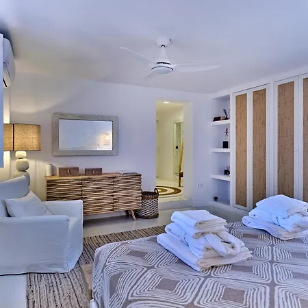 Beachhouse Small Santa Maria By Naoussa Direct Access *