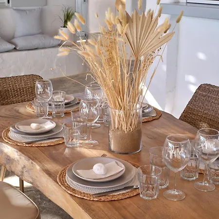 Beachhouse Small Santa Maria By Naoussa Direct Access